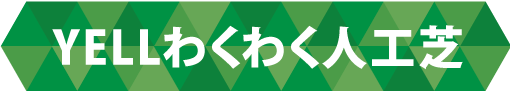 YELLわくわく人工芝