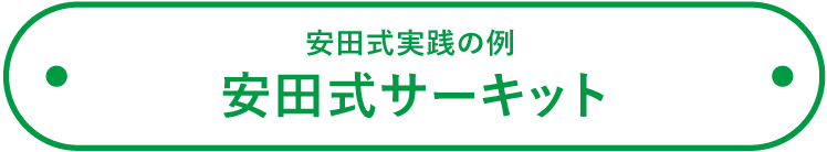 安田式サーキット